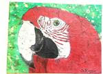 Red and Green Winged Macaw - Posted on Wednesday, April 8, 2015 by Ginny Riggle
