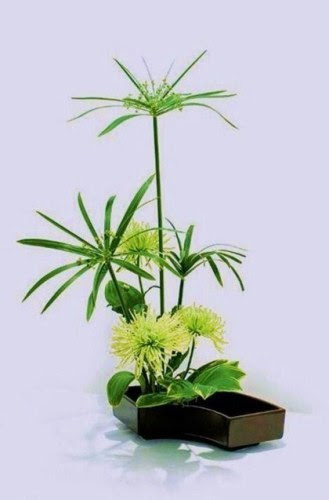 http://www.dongcong.net/photogallery/Cham-Ngon_CS/cs_clip_image010.jpg