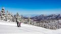 No inverno, a neve toma conta das montanhas japonesas e cria um clima perfeito para os recém-casados