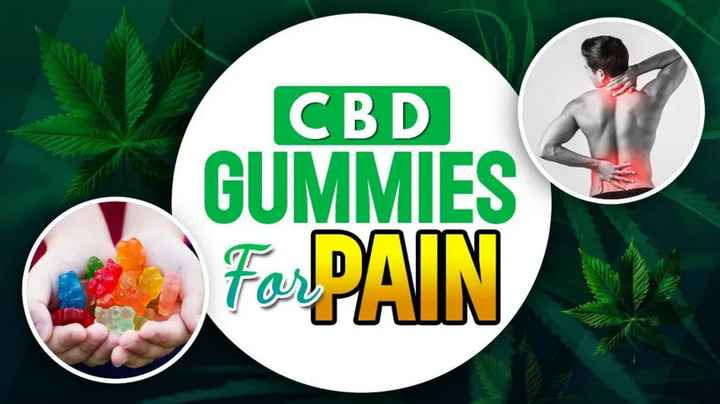 Bloom cbd Gummies Is New Offer Buy Now 50% off | Weddings, Hair and Makeup  | Wedding Forums | WeddingWire