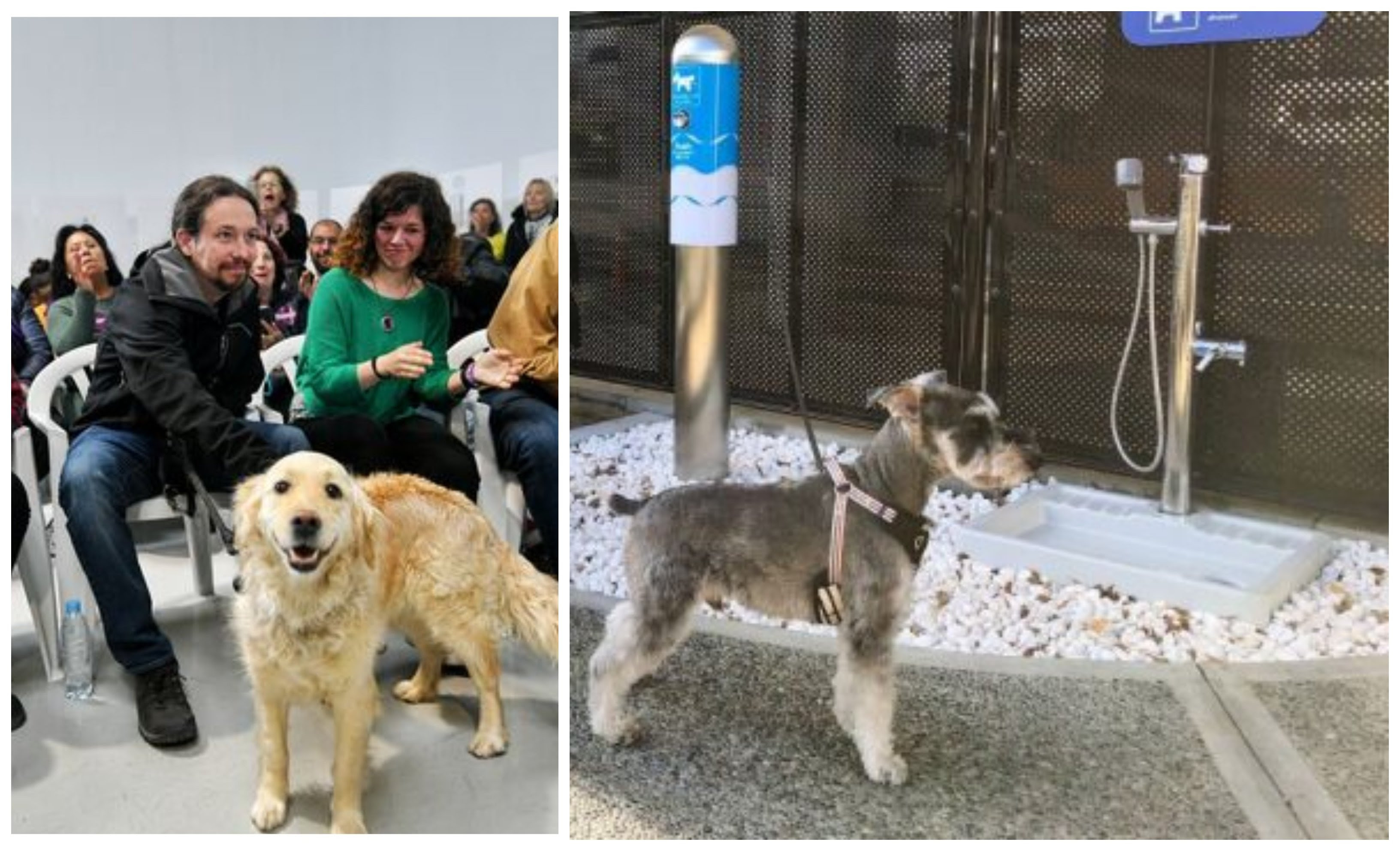 Una gran idea para Pablo Iglesias: el aeropuerto de Osaka instala la primera zona de confort canino de Japón