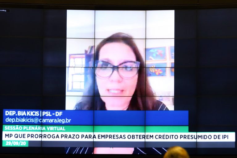Ordem do dia. Dep. Bia Kicis (PSL - DF)