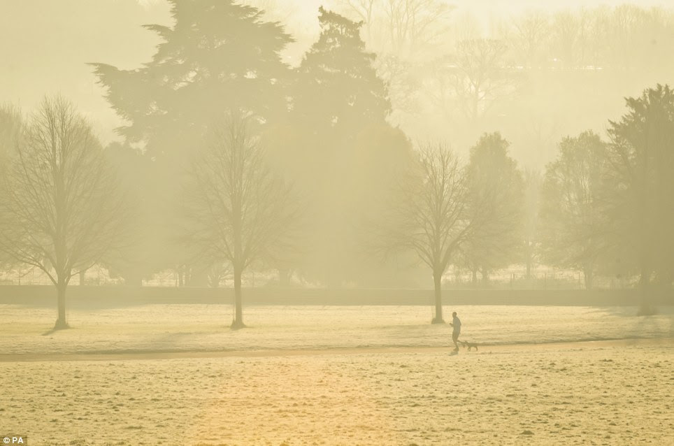 A jogger and his dog wander through the soft glow in Ashton Court Estate in Bristol