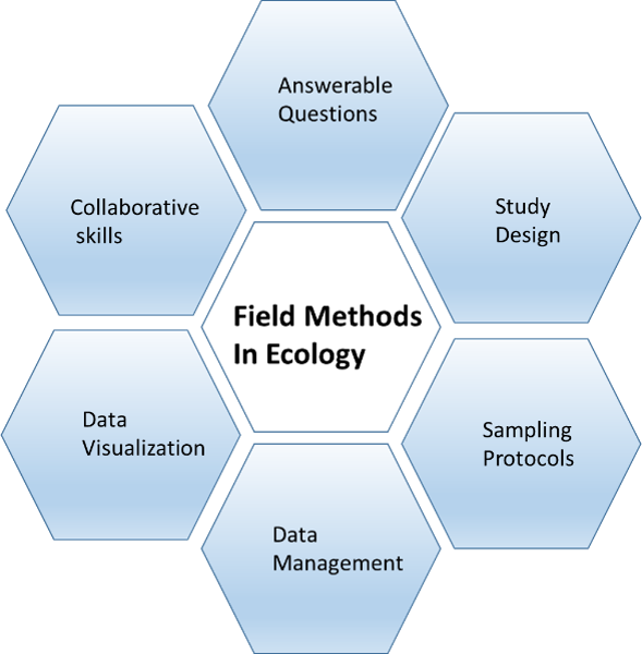 syllabus graphic