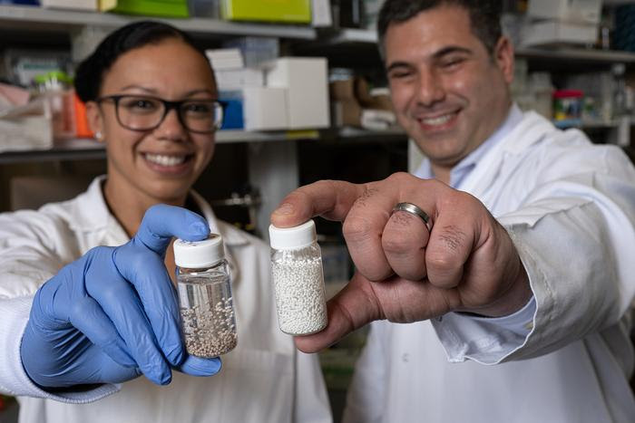 Study authors Amanda Nash and Omid Veiseh with their newly developed "drug factory" beads