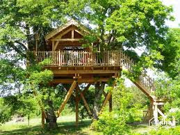 treehouse massage