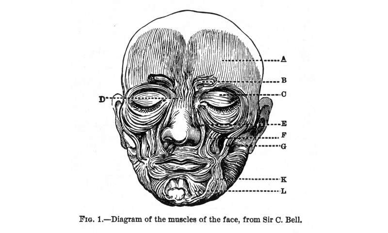 150 years ago, Charles Darwin wrote about how expressions evolved – pre-empting modern psychology by a century