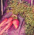 Carrots For Sale - Posted on Thursday, January 8, 2015 by Debbie Yacenda