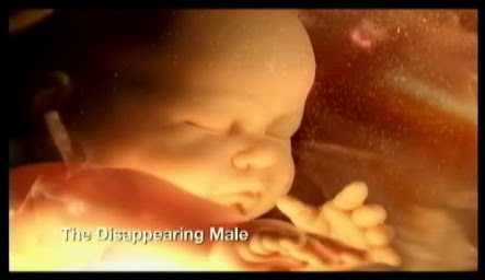 The Disappearing Male - A Must See Documentary (Video)