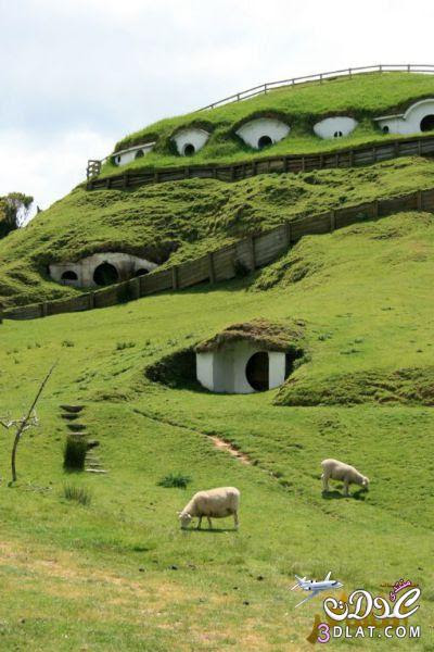 منازل الخرفان في قرية هوبيتون – Hobbiton النيوزيلندية 3dlat.com_13980242371