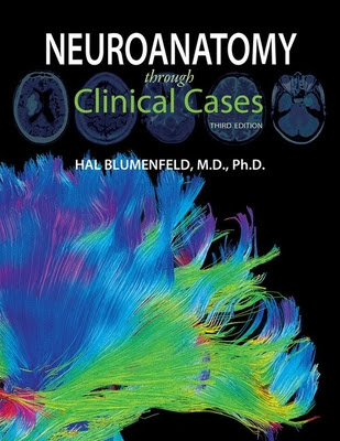 Neuroanatomy Through Clinical Cases EPUB