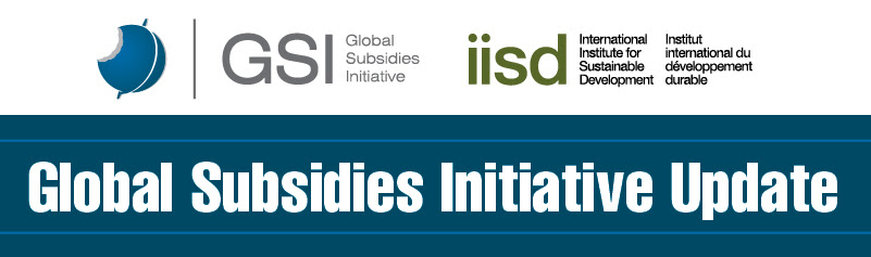 World Energy Outlook – the subsidy component World Energy Outlook – the subsidy component