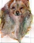 8x10 Heidi's Dog, Watercolor and Gouache Pet Portrait by Penny Lee StewArt - Posted on Thursday, February 19, 2015 by Penny Lee StewArt