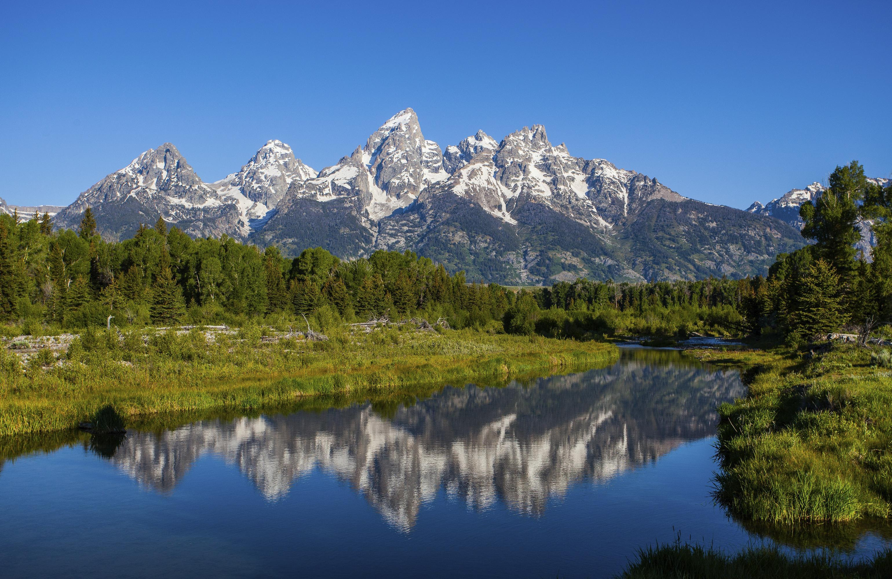 There are 61 mammal species, 17 carnivore species, 6 amphibian species, 6 bat species, and 4 reptile species. How to Spend 1 Day in Grand Teton National Park 2021 Travel