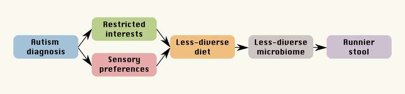 Gut bacteria don't cause autism. Autistic kids' microbiome differences are due to picky eating