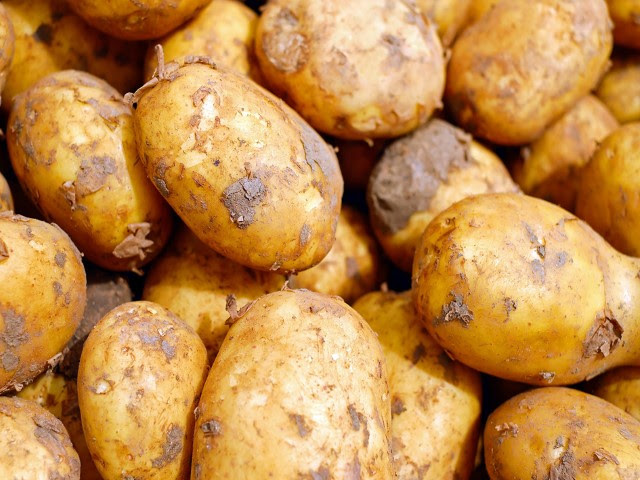 How To Grow Potatoes