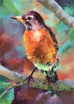 Robin - Posted on Tuesday, April 14, 2015 by Pamela Hamilton