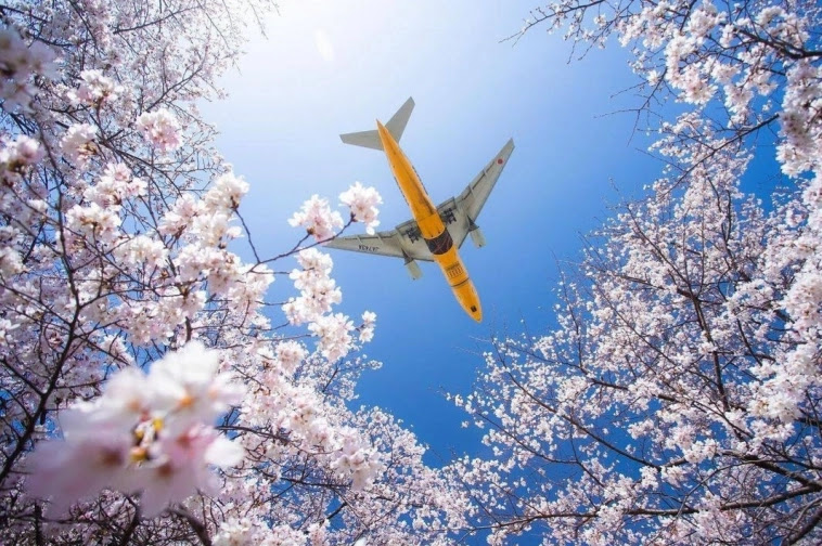 Азия. Пятница. Азия. Пятница.