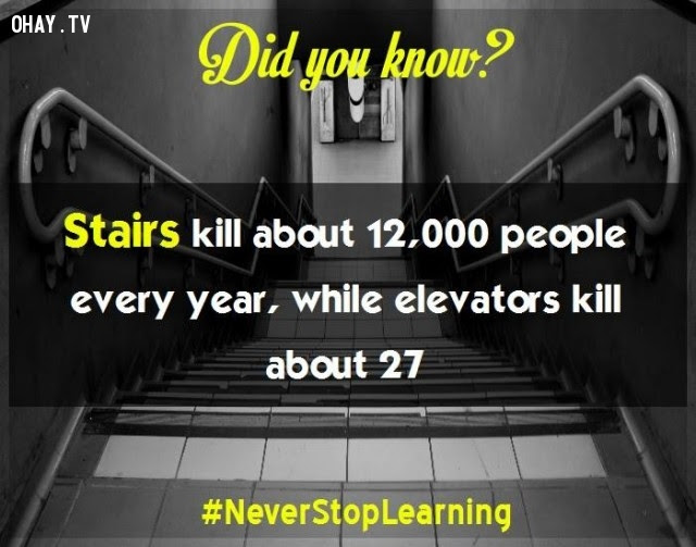 16. Cầu thang giết khoảng 12.000 người mỗi năm trong khi thang máy chỉ giết khoảng 27 người.,sự thật thú vị,những điều thú vị trong cuộc sống,khám phá,sự thật đáng kinh ngạc,có thể bạn chưa biết