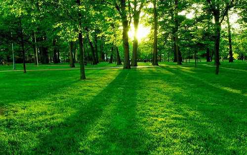 Naturaleza