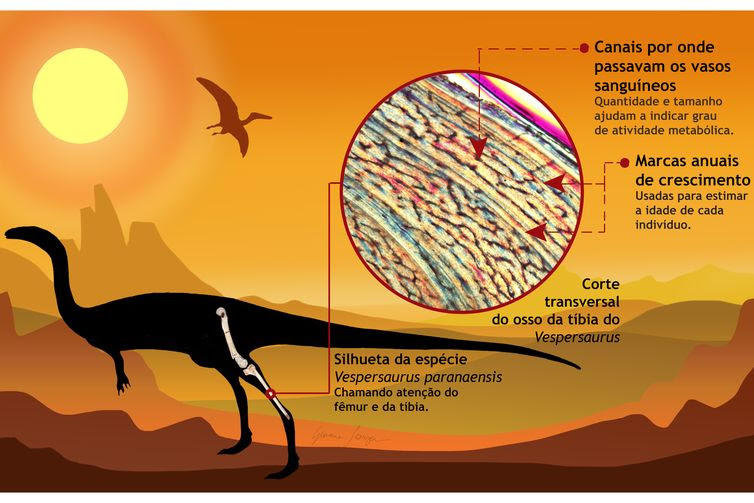 Arte de Geovane Souza Reconstrução do dinossauro - Arte de Geovane Souza
