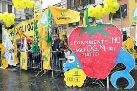 Immagine correlata