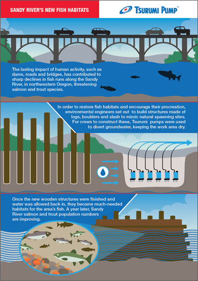 Tsurumi Sandy River's new fish habitat infographic