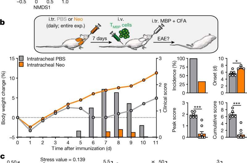 The lung's microbial flora regulates the brain's immune reactivity