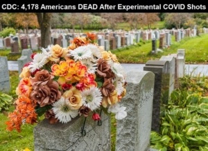 CDC Stats through May 3rd, 2021 Flowers-On-A-Tombstone-In-A-Cemetary-CDC-COVID-Vaccine_Deaths-768x560-1-300x219