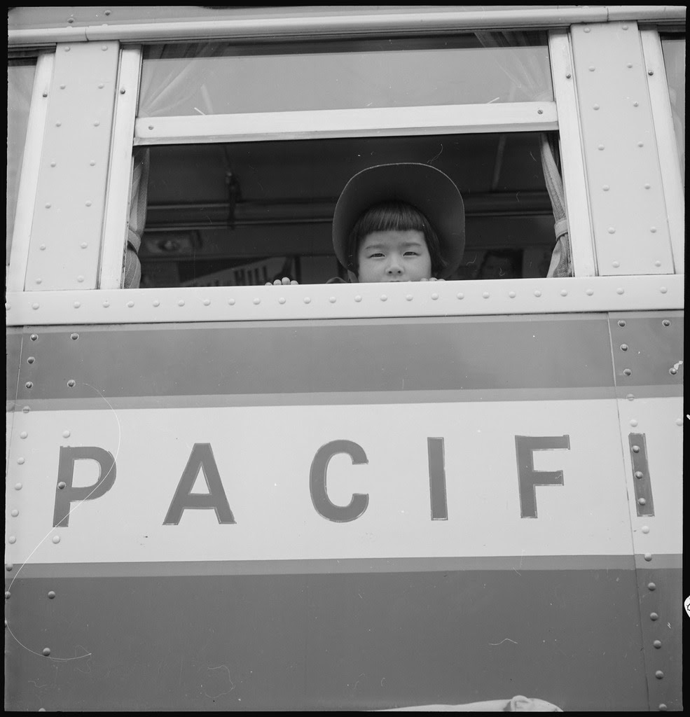 http://upload.wikimedia.org/wikipedia/commons/thumb/8/87/Hayward%2C_California._A_young_evacuee_looks_out_the_window_of_the_evacuation_bus_before_it_starts_fo_._._._-_NARA_-_537524.tif/lossy-page1-985px-Hayward%2C_California._A_young_evacuee_looks_out_the_window_of_the_evacuation_bus_before_it_starts_fo_._._._-_NARA_-_537524.tif.jpg