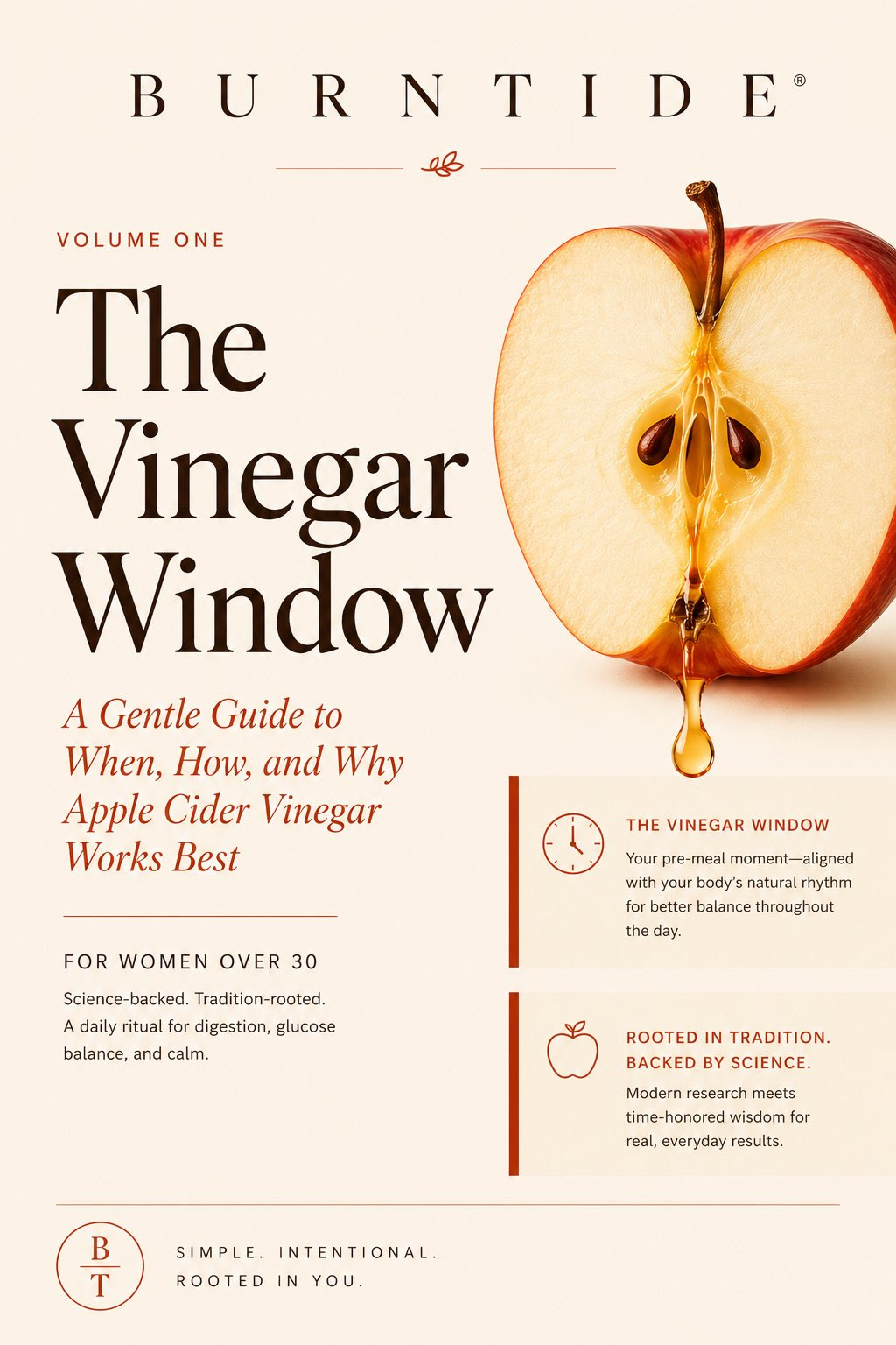 The Vinegar Window ebook