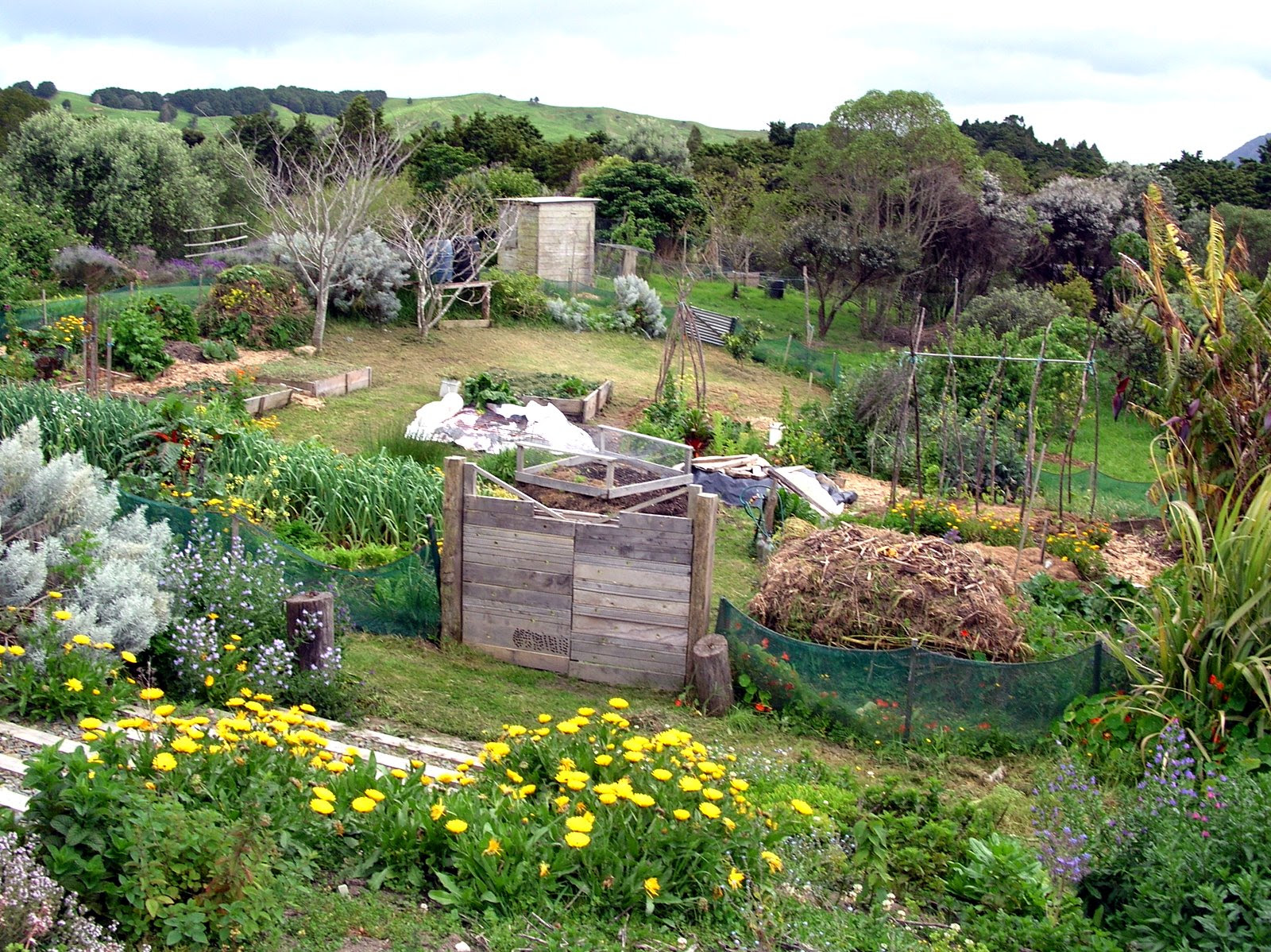 The Austin Public Library is hosting a talk on permaculture design this Saturday.