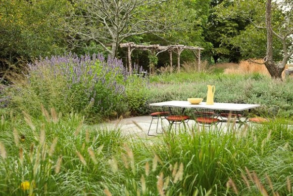 Meadow garden in the Hamptons
