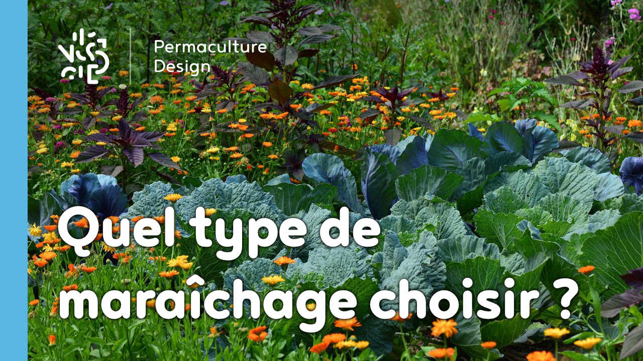 ??Jérôme Boisneau, maraîcher en permaculture explique les différents types de maraîchages existants (conventionnel, en bio ou en permaculture) et les questions à se poser quand on souhaite développer ce type d’activité agricole.