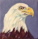 Eagle study #3 - Posted on Monday, December 15, 2014 by Dawn Melka