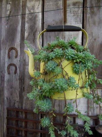 Teapot-flower-pot