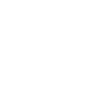 Anonymous Goose