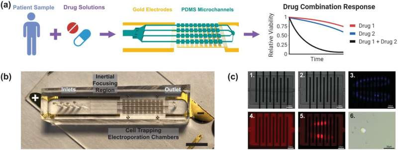 A new microfluidic system could keep tabs on cancer treatment