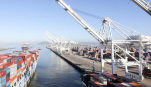 Oakland: Pro-jihad Arab Resource and Organizing Center stops Israeli ship from unloading
