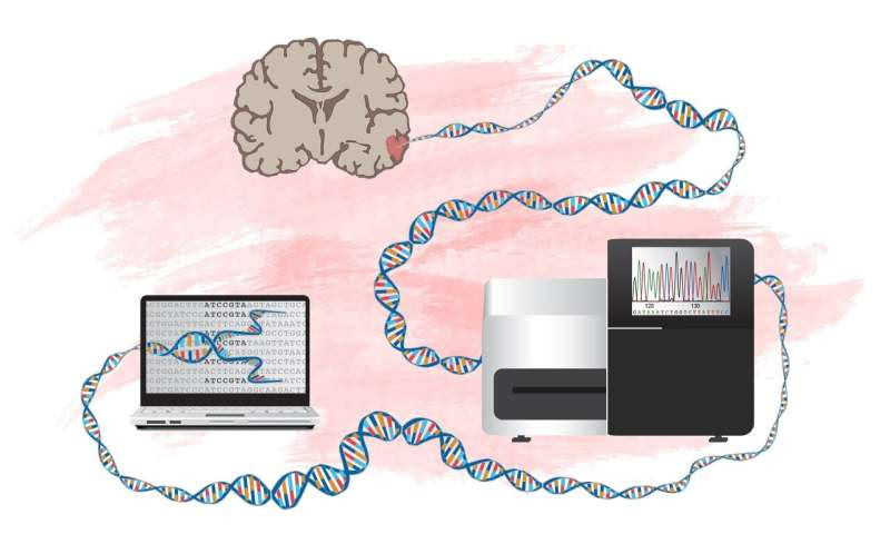 New method to identify genes that can drive development of brain tumors