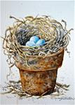 Potted Nest - Posted on Thursday, January 22, 2015 by carolyn watson