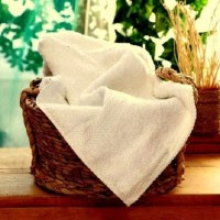 ExpressionsHome TerryCotton Bath Towel