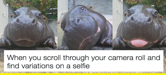 Variations on a selfe - so funny and really cute Haha