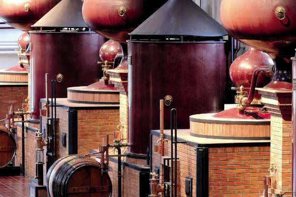 Tout le vignoble du cognac distille