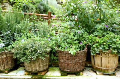 Growing, Preserving And Mixing Your Own Herbs And Spices Herb-garden-400x265