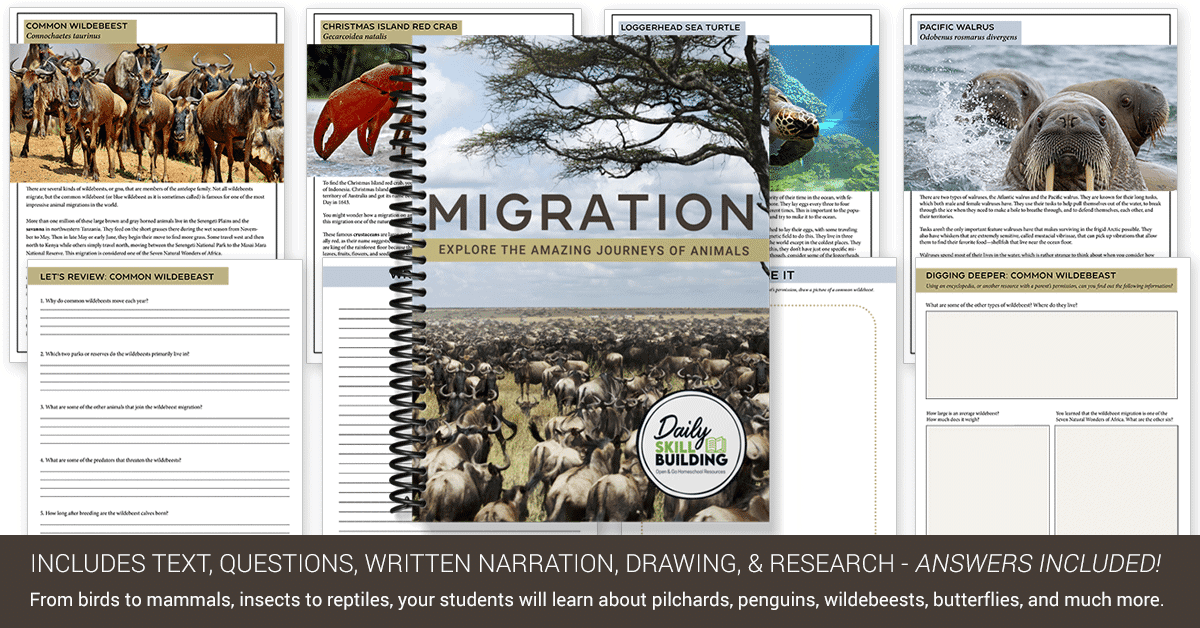 FREE Resources and Worksheets About Animal Migration - Homeschool Giveaways