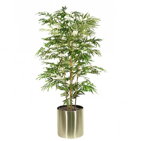 http://m.trithucvn.net/wp-content/uploads/-000/1/japanese-bamboo-set-in-brushed-stainless-steel-planter-p76-266_medium.jpg