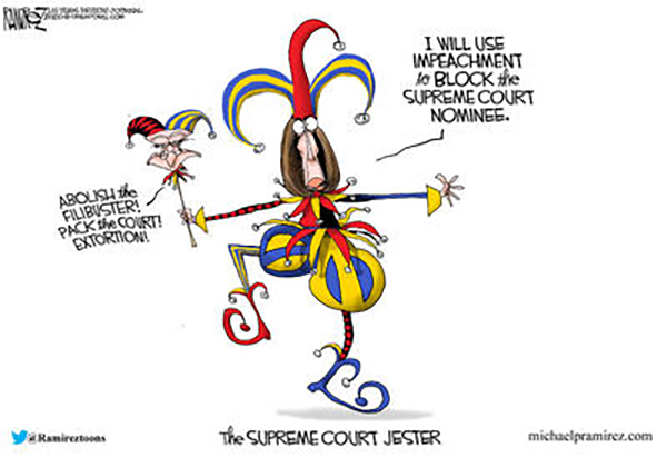 Supreme Court Jester