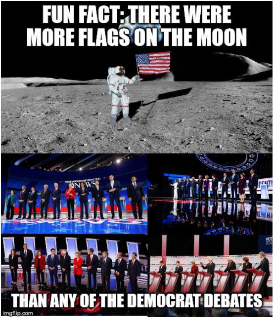 flag democrats moon.JPG