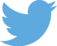 Twitter Logo Blue